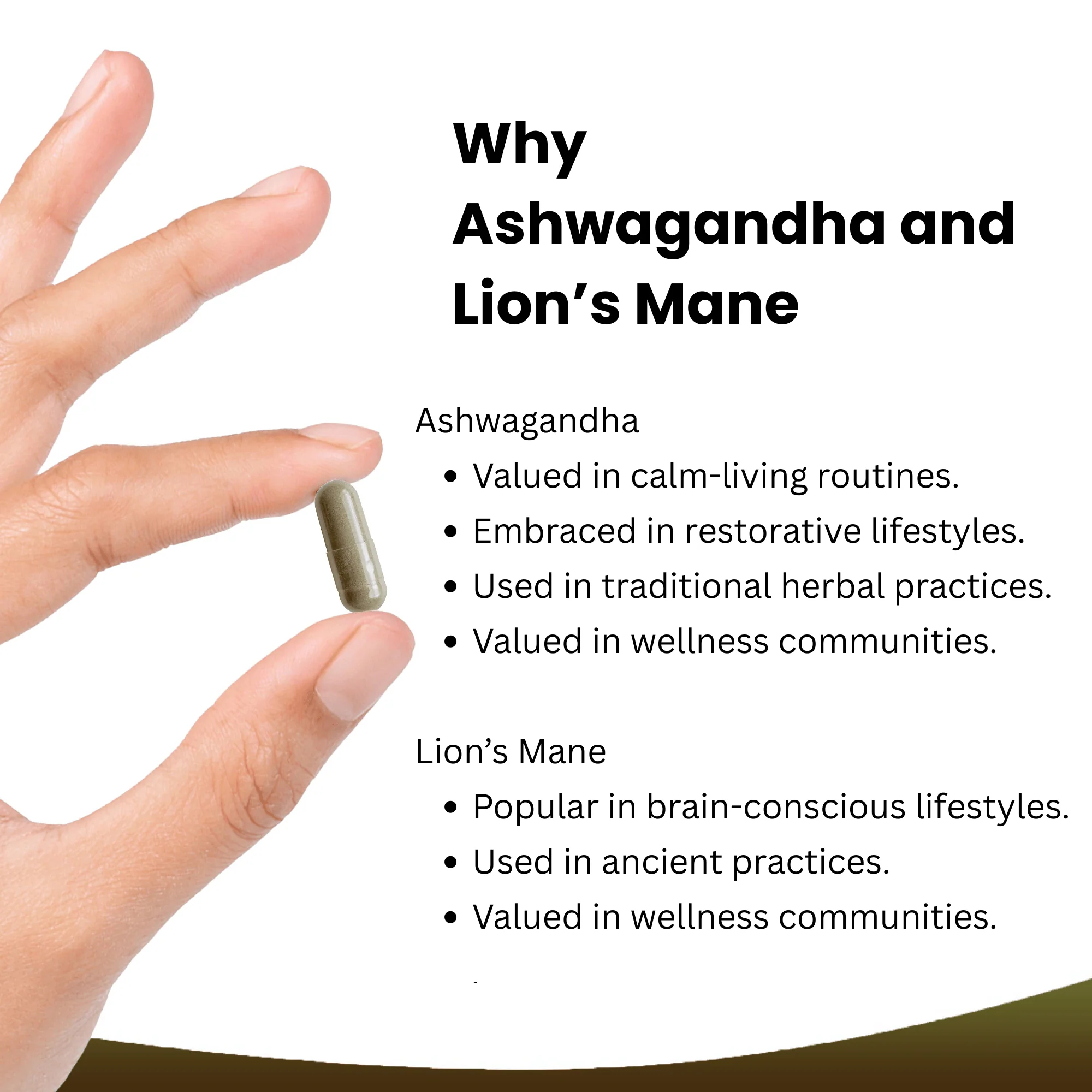 Ashwagandha Lions Mane Capsules - Image 2