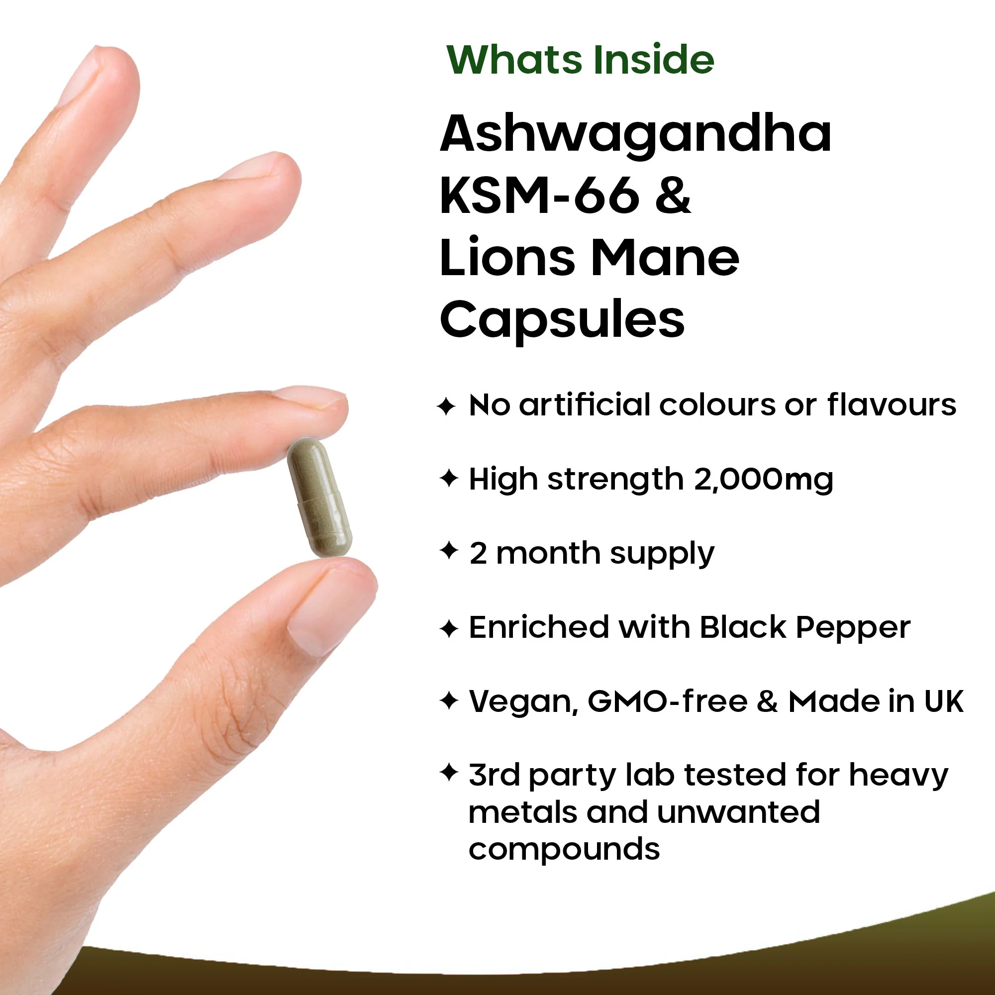 Ashwagandha Lions Mane Capsules - Image 4
