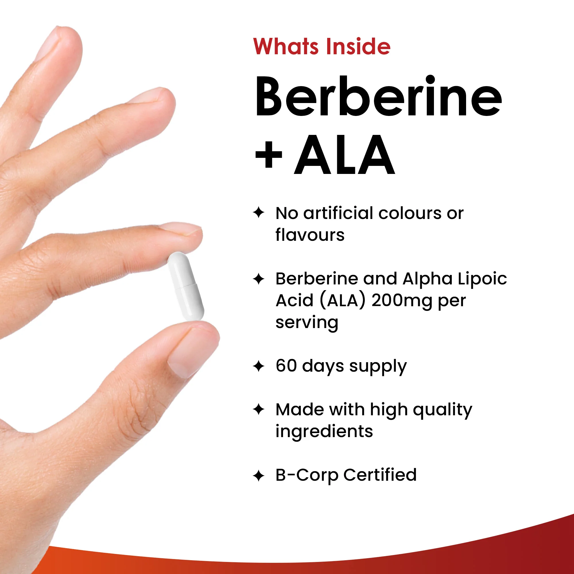 Berberine + ALA Capsules - UK Made - Image 2