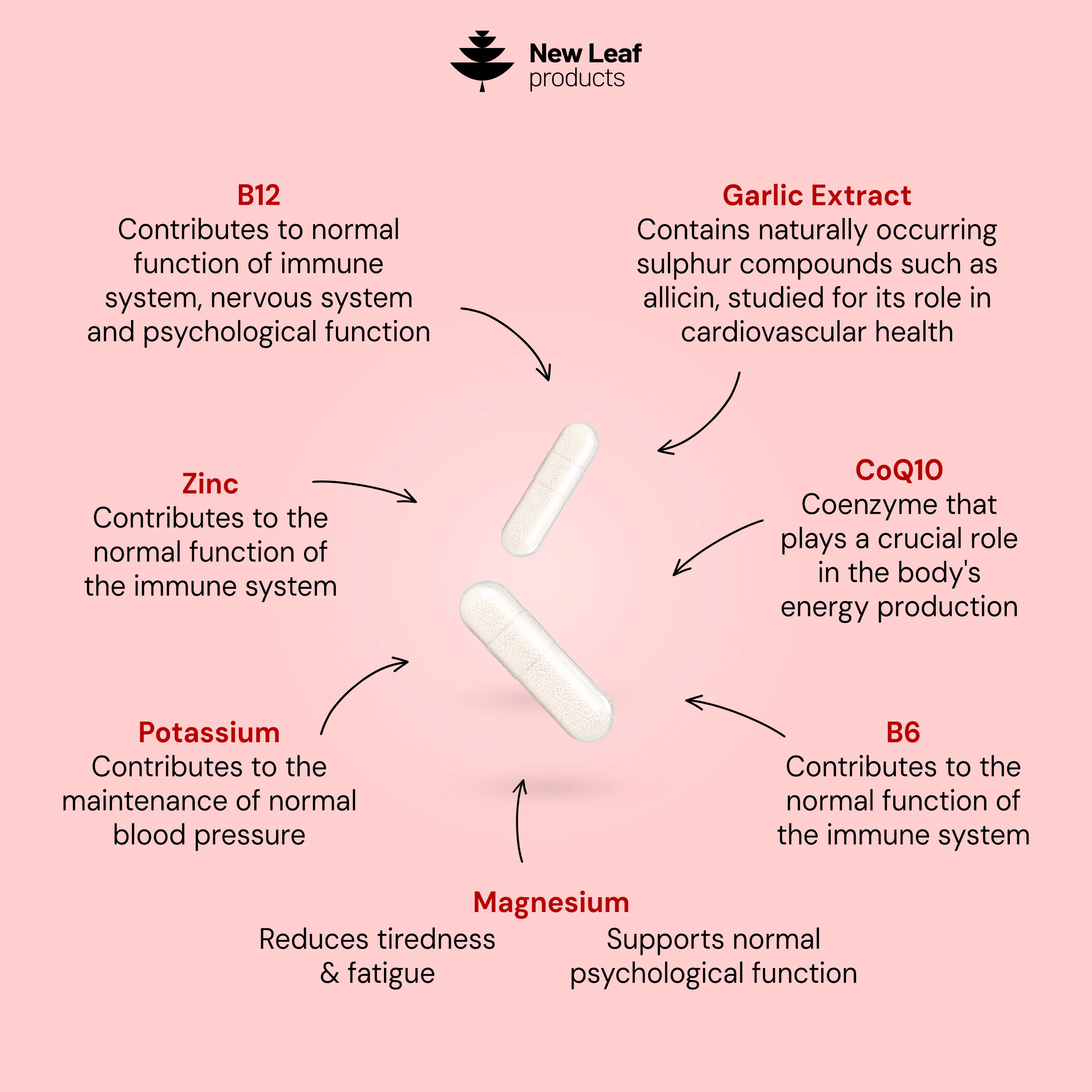 Blood Pressure Support Capsules - Image 2