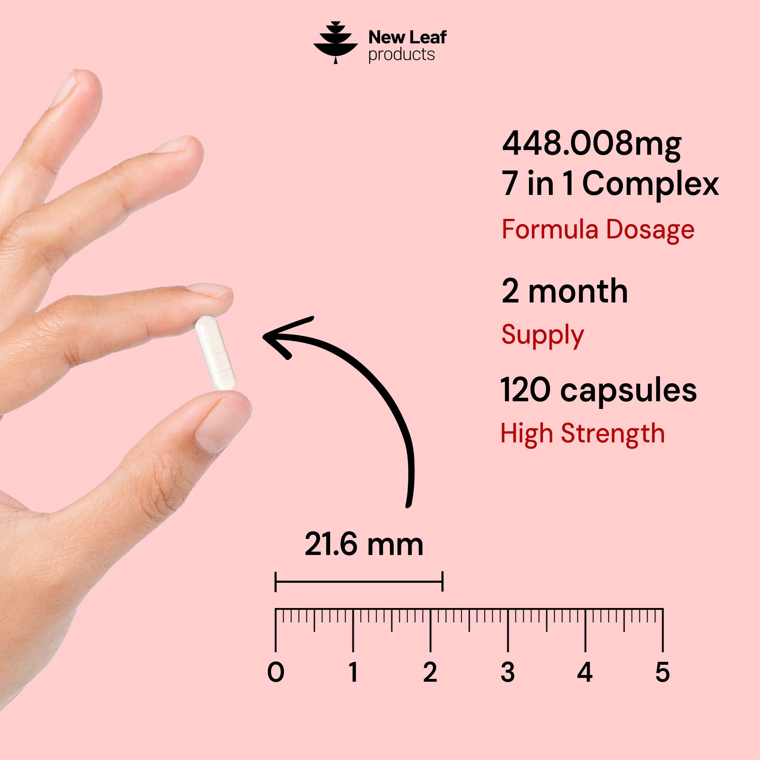 Blood Pressure Support Capsules - Image 3