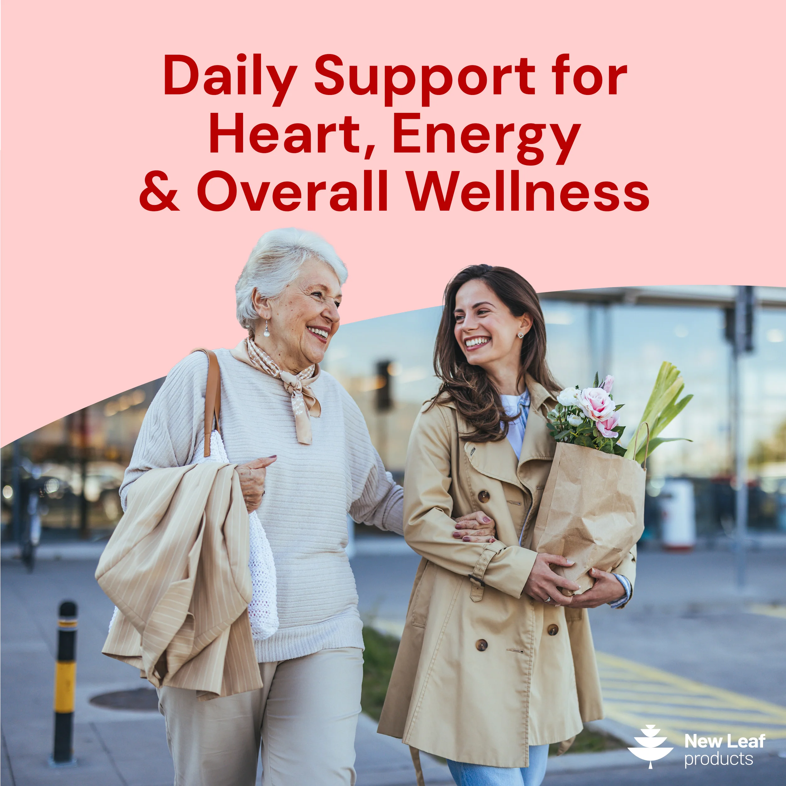 Blood Pressure Support Capsules - Image 4