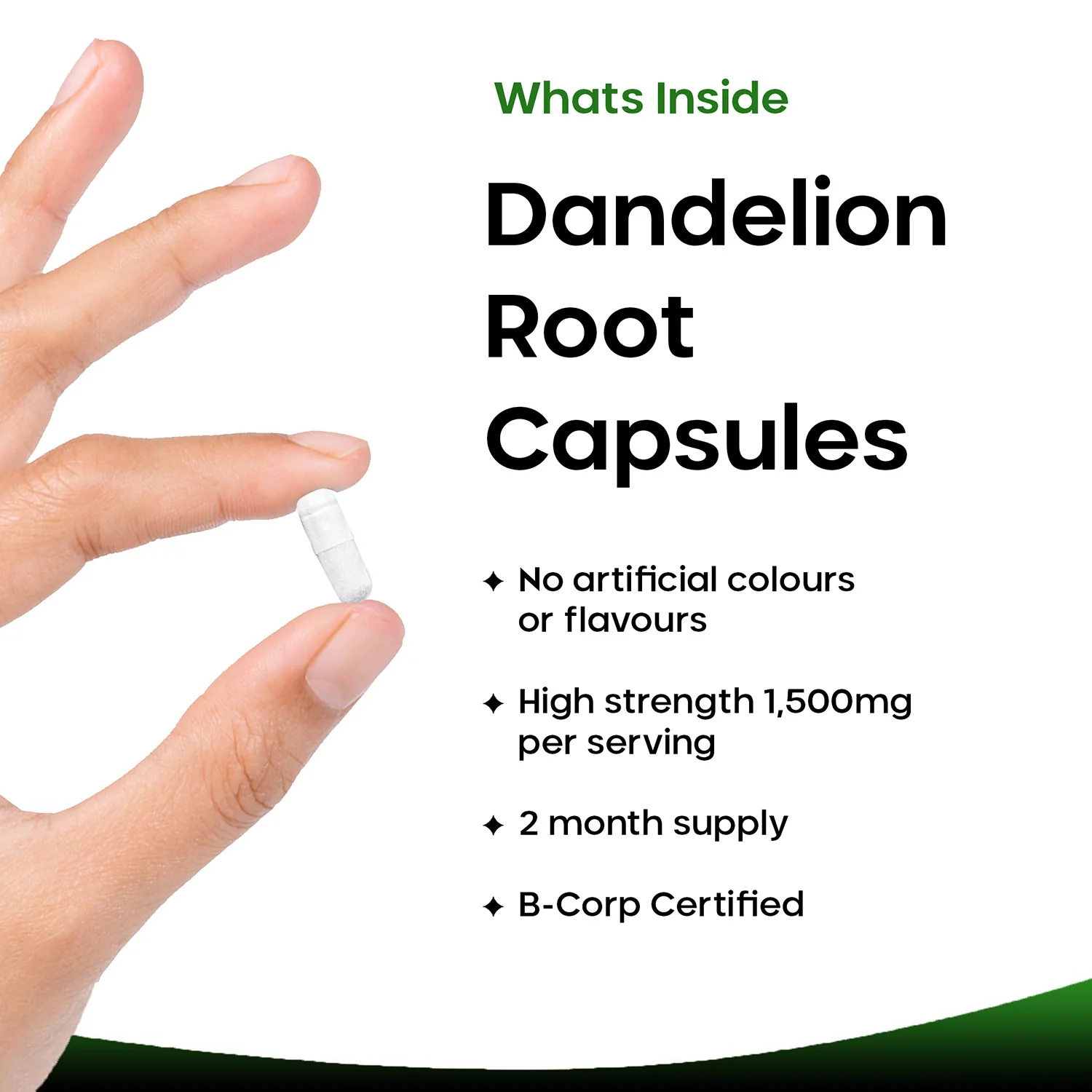 Dandelion Root Capsules - Image 2