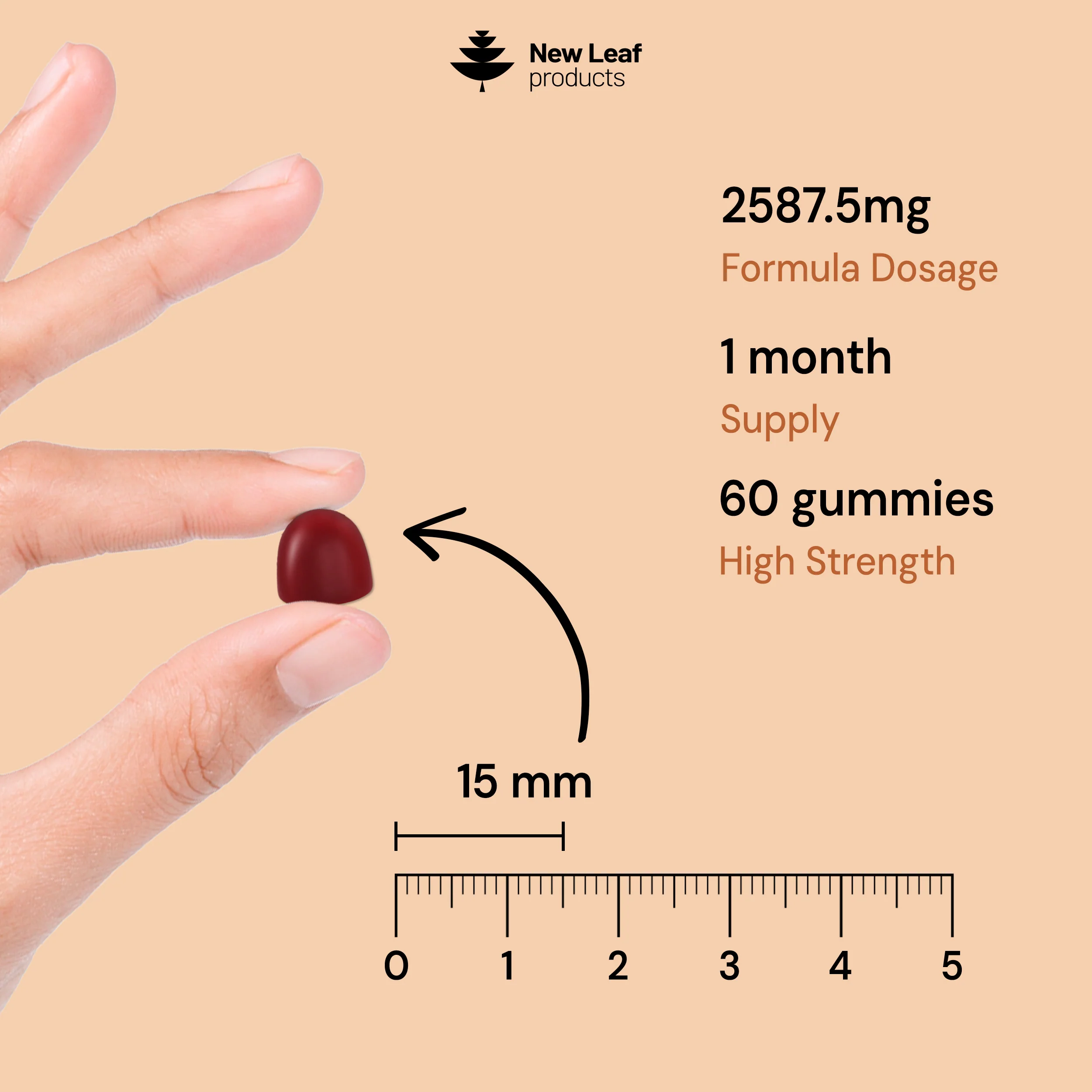 Lion's Mane Gummies + Vitamin C & B5 - Image 3