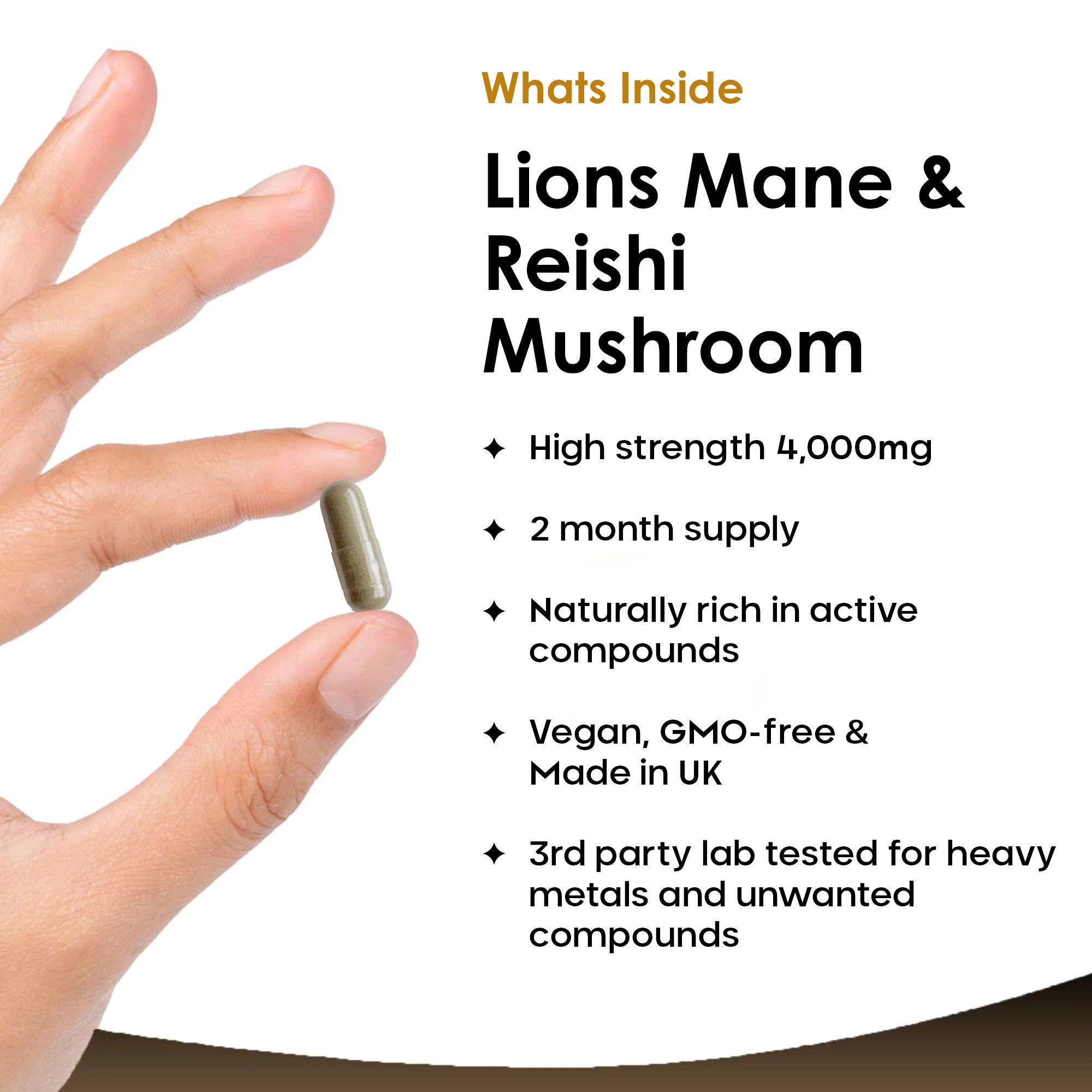 Lions Mane and Reishi Mushroom Capsules - Image 2