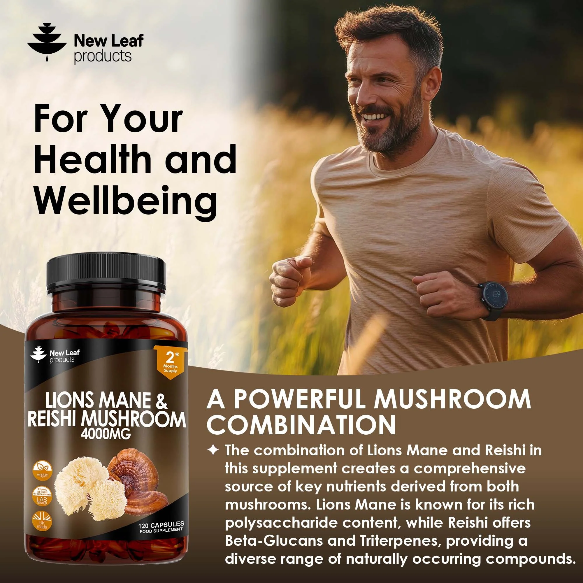Lions Mane and Reishi Mushroom Capsules - Image 3