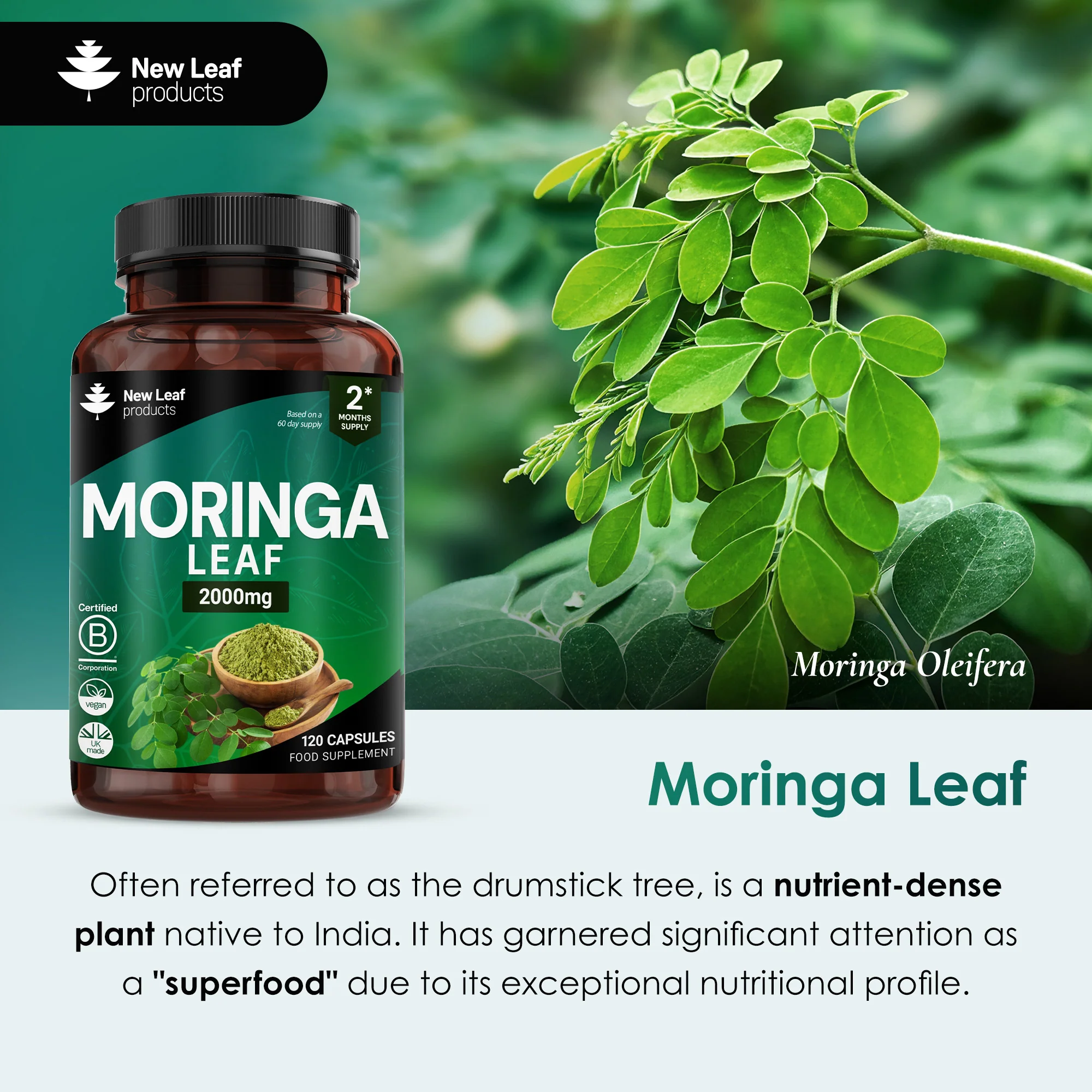 Moringa Leaf Capsules - Image 6