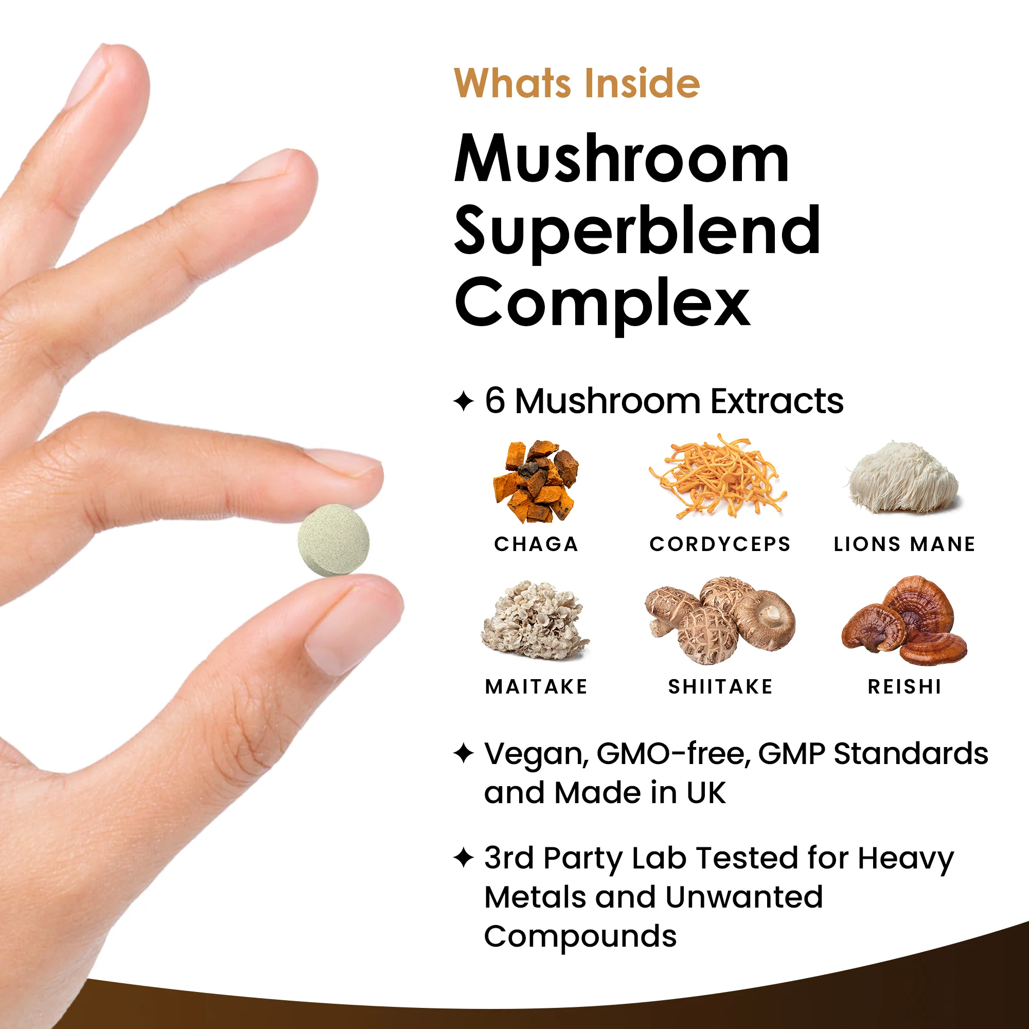 Mushroom Superblend Complex Tablets - Image 2