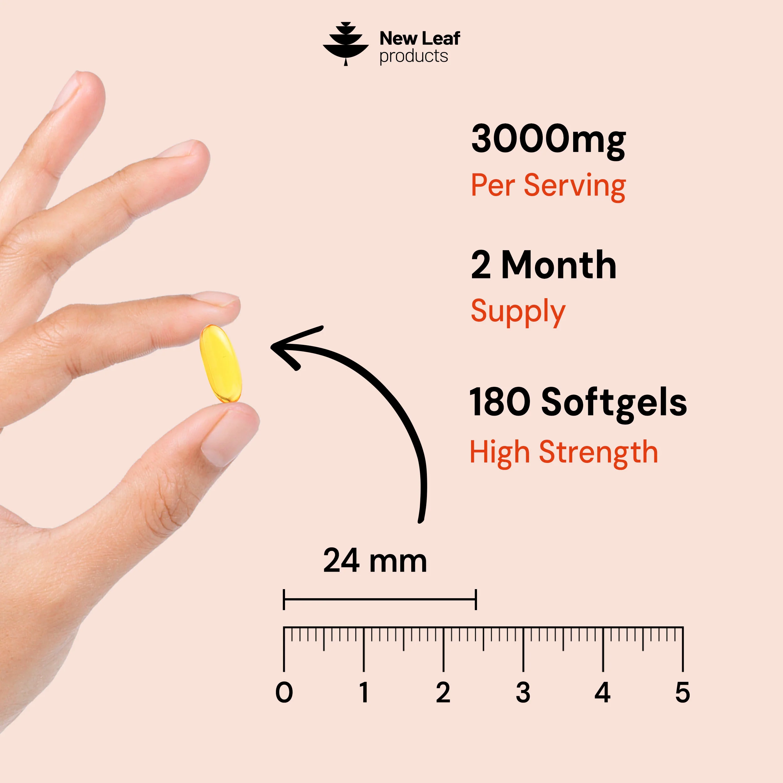 Pumpkin Seed Oil Capsules - Image 3
