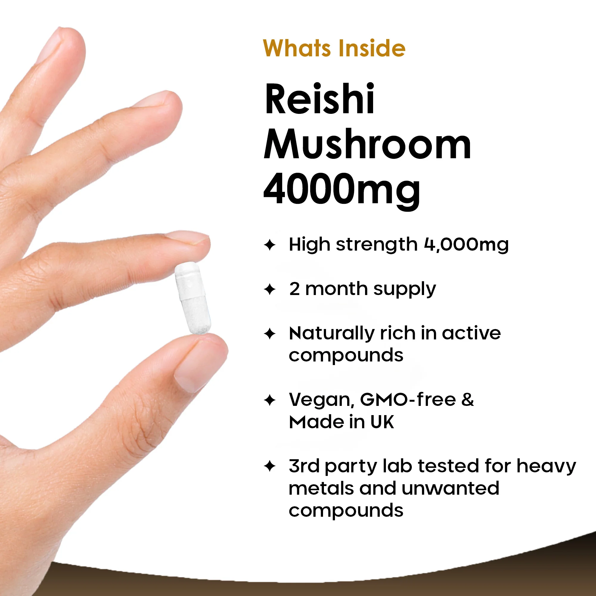 Reishi Mushroom Capsules - Image 2