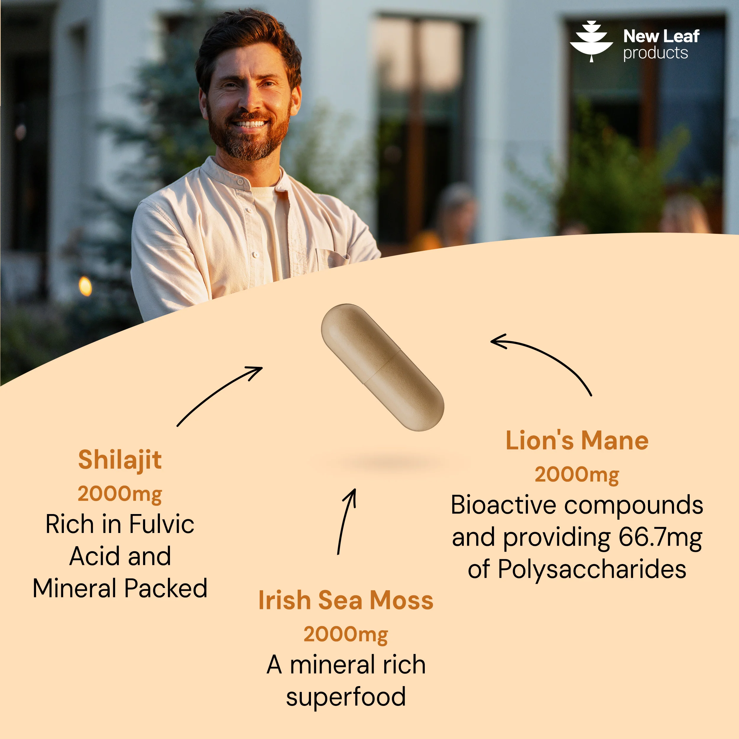 Shilajit, Sea Moss, Lion's Mane Capsules - Image 2