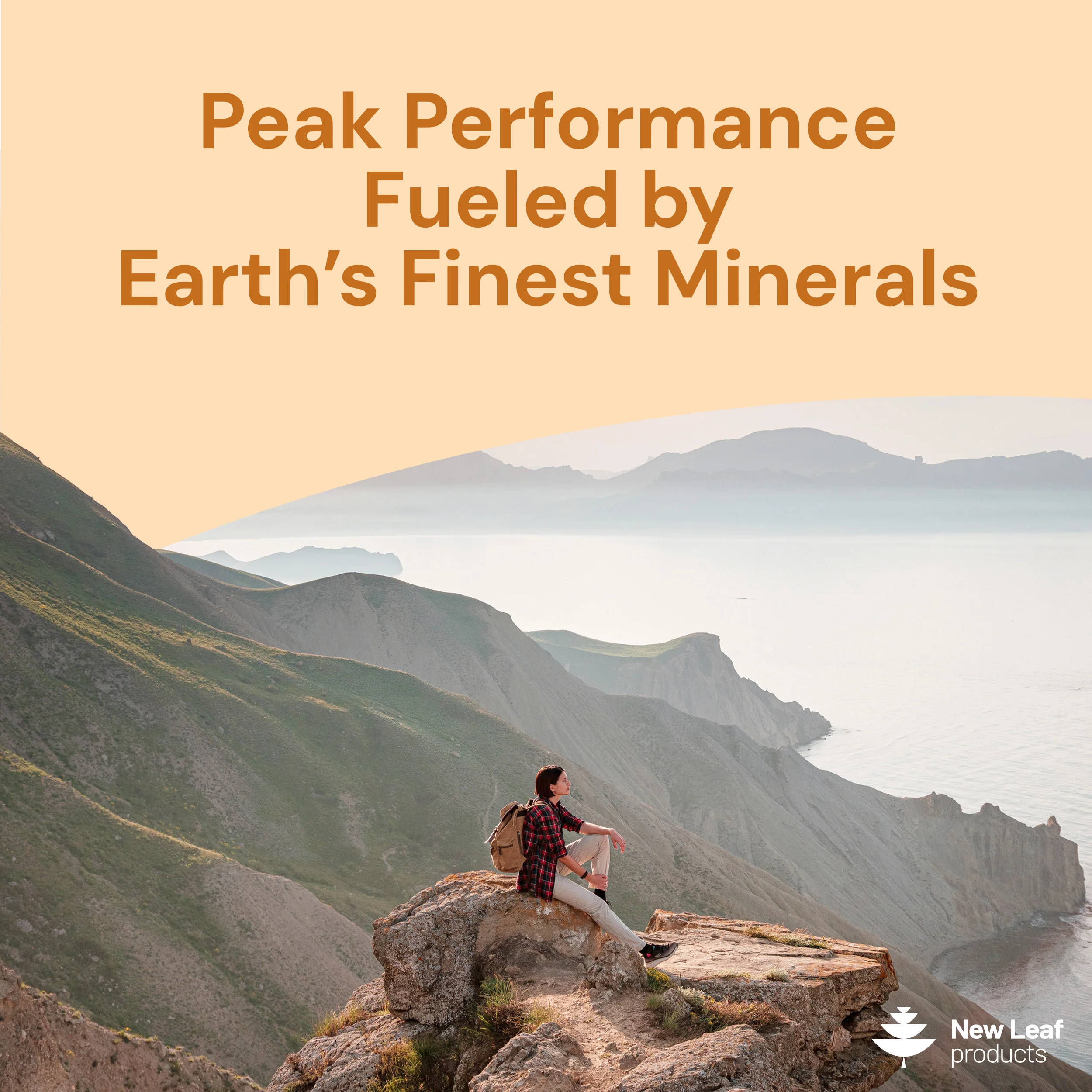 Shilajit, Sea Moss, Lion's Mane Capsules - Image 4